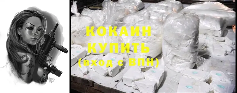 Cocaine FishScale  мега tor  Воркута  купить  цена 